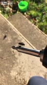 15934578750851.webm