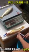 Приправы.mp4
