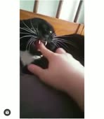 29.mp4