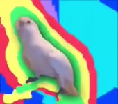 37.mp4