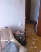 .mp4