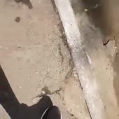 Унёс с собой.mp4