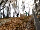 .webm