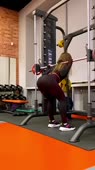 16143460805710.mp4
