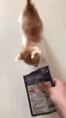 15956723148790.mp4