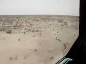 .webm