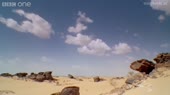 morgenfrog.webm