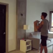 =) павук.webm
