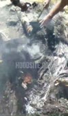 16134265023180.mp4