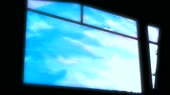 16144647954890.mp4