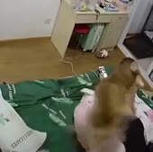 15789481400610.mp4
