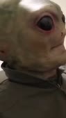 161405916181.mp4
