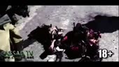 Everybody is dying.mp4