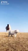 7b3aaffc0c9481d29168d051c7870bc4.mp4