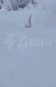 VID20210228142150748.mp4