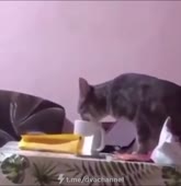 16006050700110.mp4