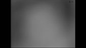 двачер.webm