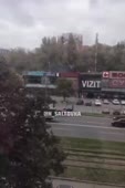 15729691750820.webm