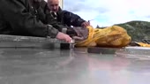 16014100893500.webm