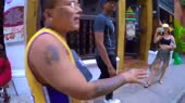 15745318914330.mp4