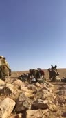 1614964611670.mp4