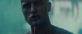 14417607475660.webm
