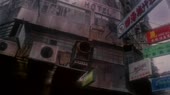 14417613785031.webm