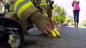 14478331204313.webm