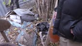 14537715681160.webm