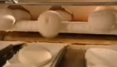 14699629080400.webm