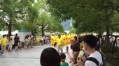14863980220080.webm