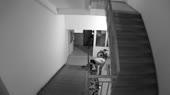 14954689075240.webm