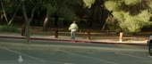 14958134251720.webm