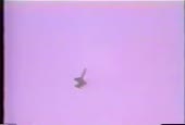 15512113843010.webm
