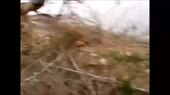 Abrakadabra.webm