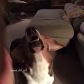DogAndChrist.webm