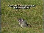 if you think about... this.. will die.webm