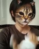 kittytest.mp4