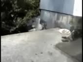 15136956933973.webm