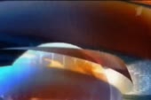 NewsStandart.webm