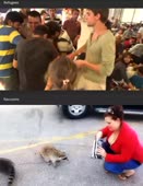 Refugees-Racoons.webm
