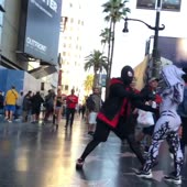 SpiderDance.mp4