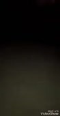 thatsmeshamil.webm