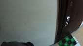 ZvaniUjin.webm