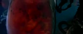 манямирок.webm