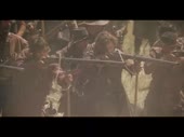 Пикинеры.webm