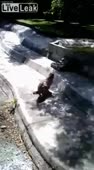 14776887251120.webm