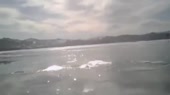 14953950192140.webm