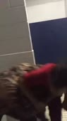 14958144878230.webm