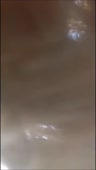15169632841221.mp4